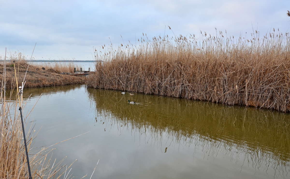 �� ������� ������ ����� ����  �� PhotoGeek.ru #������ ��� ������� #���������