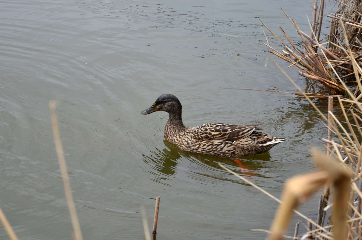 ... ����� ����  �� PhotoGeek.ru #�������� ��� #����� ��� ��� ���������