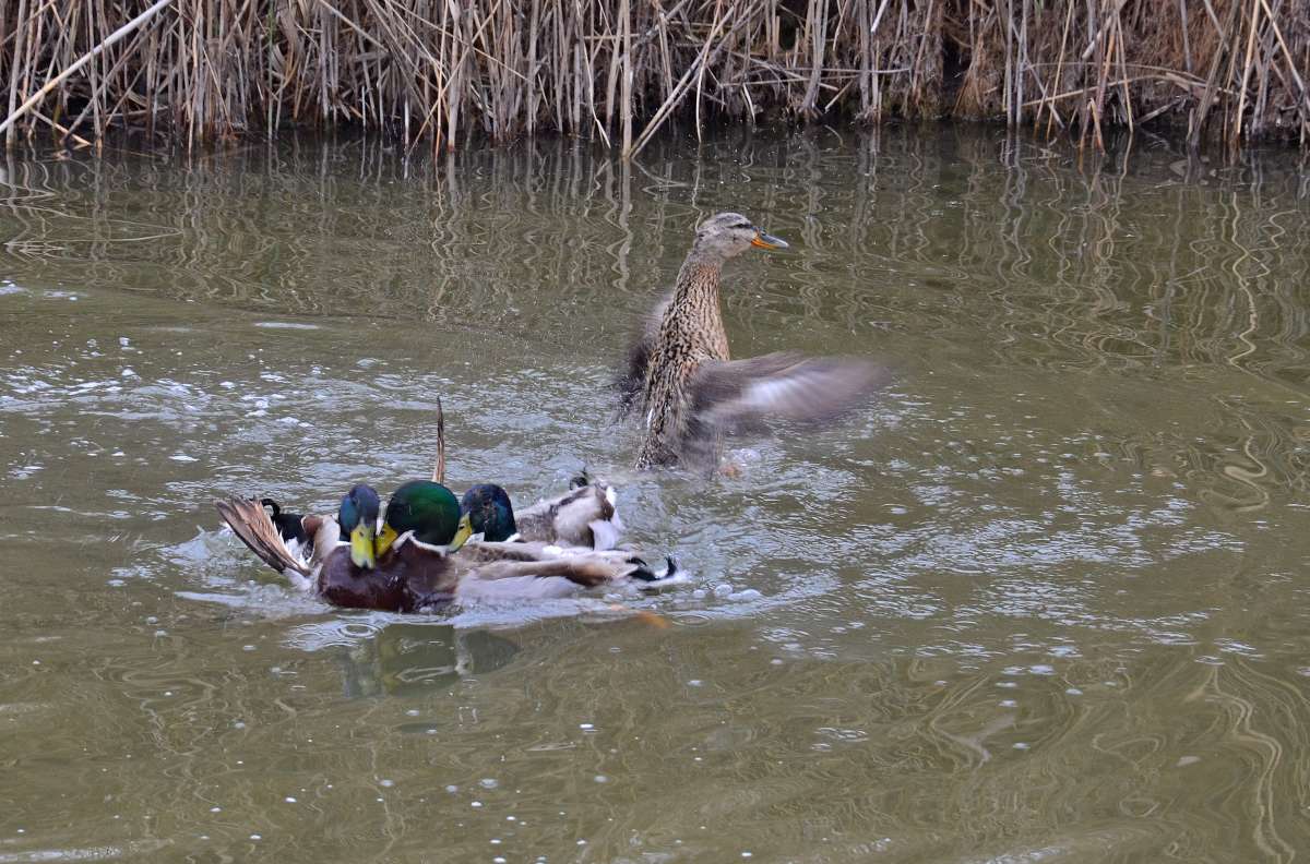 ����� ����� ����  �� PhotoGeek.ru #�������� ��� #����� ��� ��� ���������