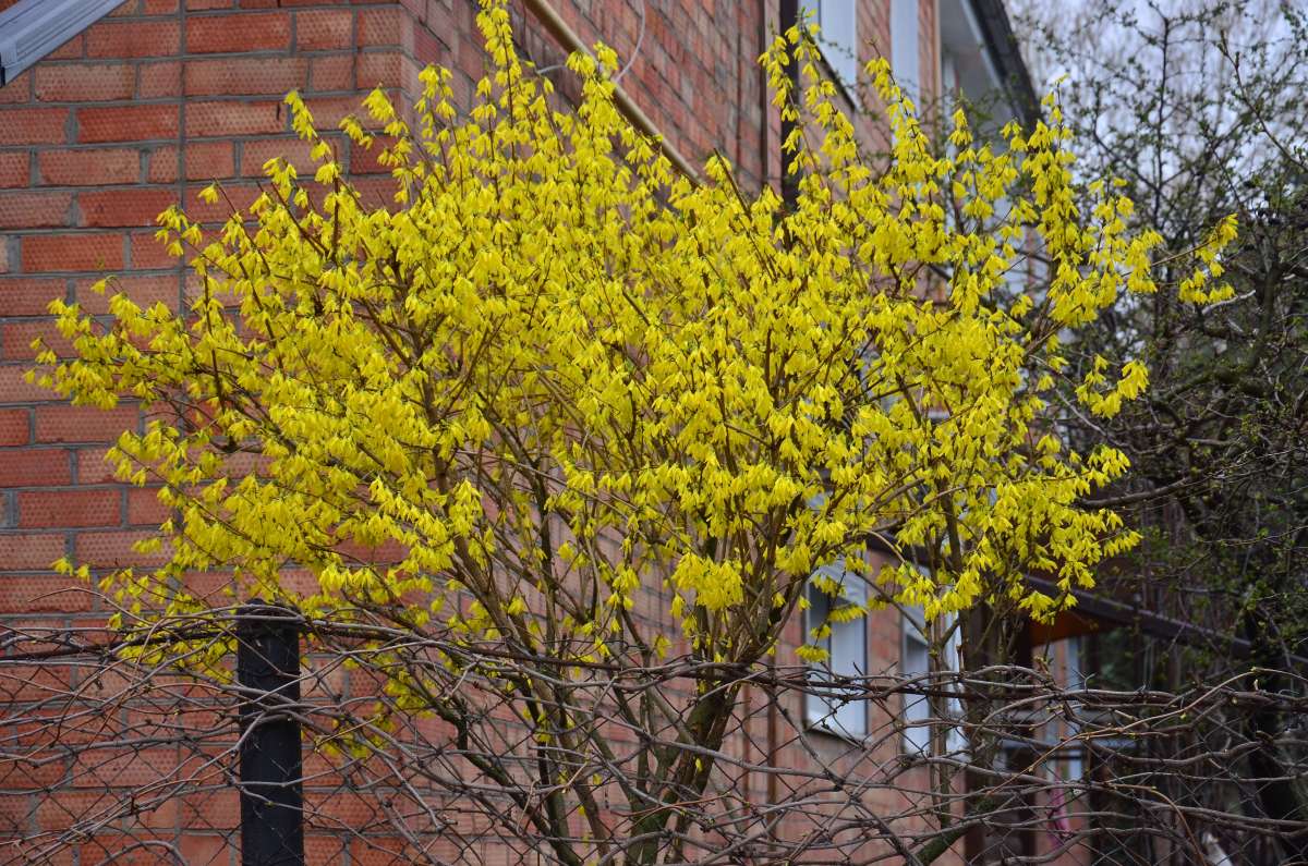 ... ����� ����  �� PhotoGeek.ru #������ ��� ������� #����� �������������� #���������