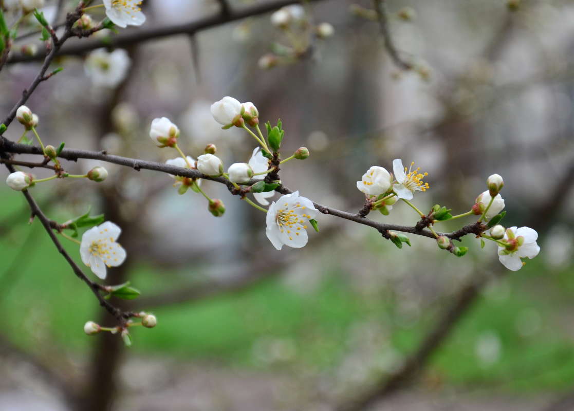 �������� ����� ����  �� PhotoGeek.ru #������ ��� ������� #����� �������������� #���������