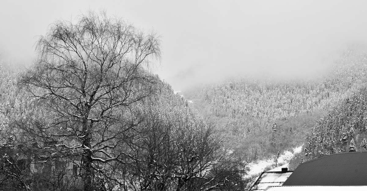 ... ����� ����  �� PhotoGeek.ru #�� #������ ��� ������� #���������