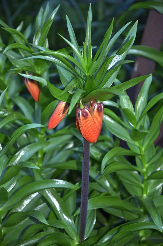 �������� ����� ����  �� PhotoGeek.ru #������ ��� ������� #����� �������������� #���������