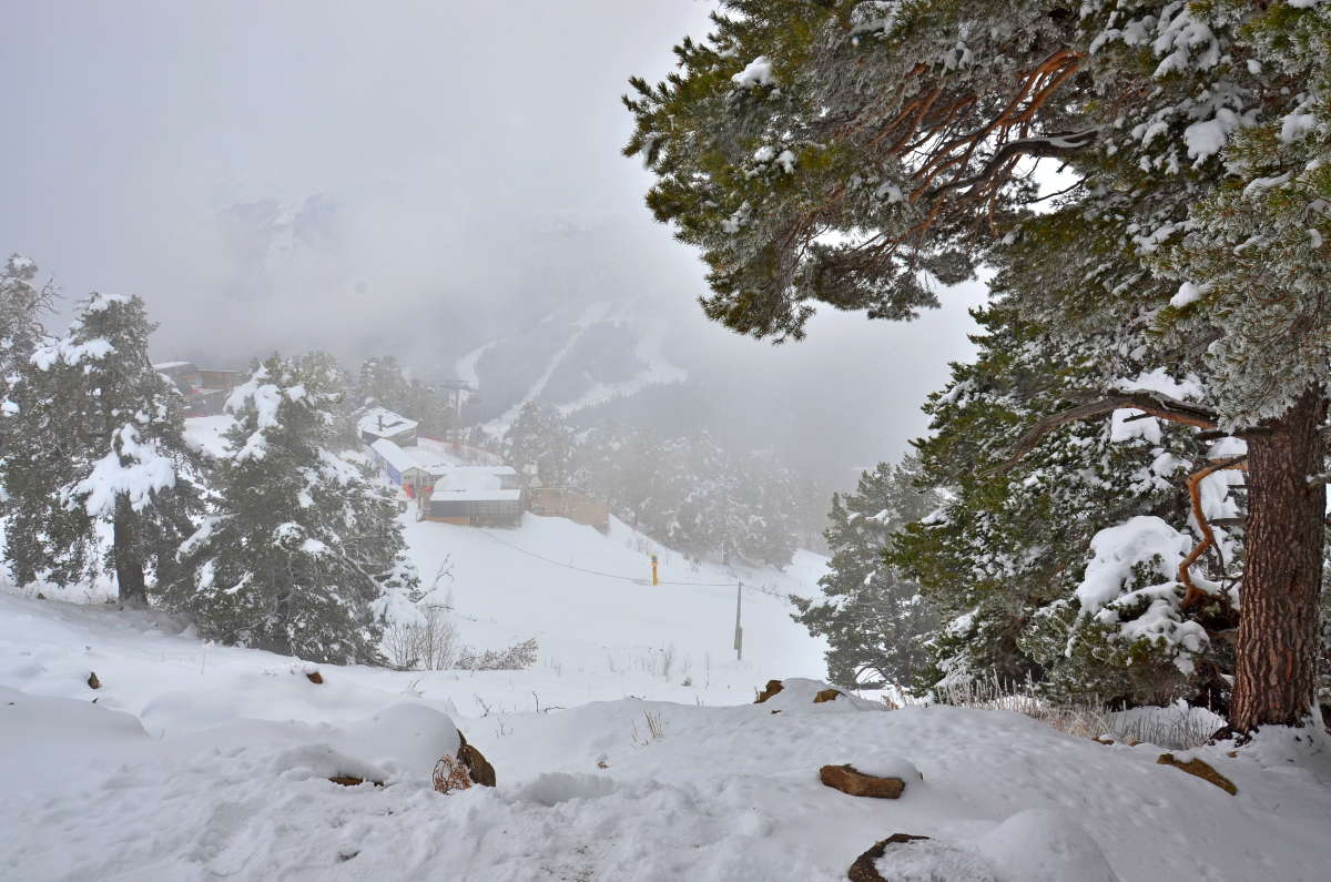 ����������� ������ ����� ����� ����  �� PhotoGeek.ru #������ #����� #��������