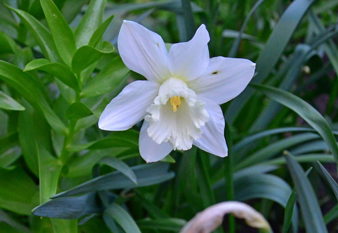 ����� ����� ����� ����  �� PhotoGeek.ru #������ ��� ������� #����� �������������� #���������