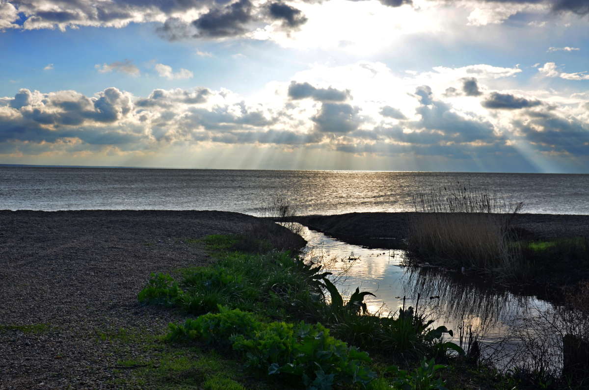 ��� ���������� ���� ����� ����  �� PhotoGeek.ru #������ ��� ������� #���������