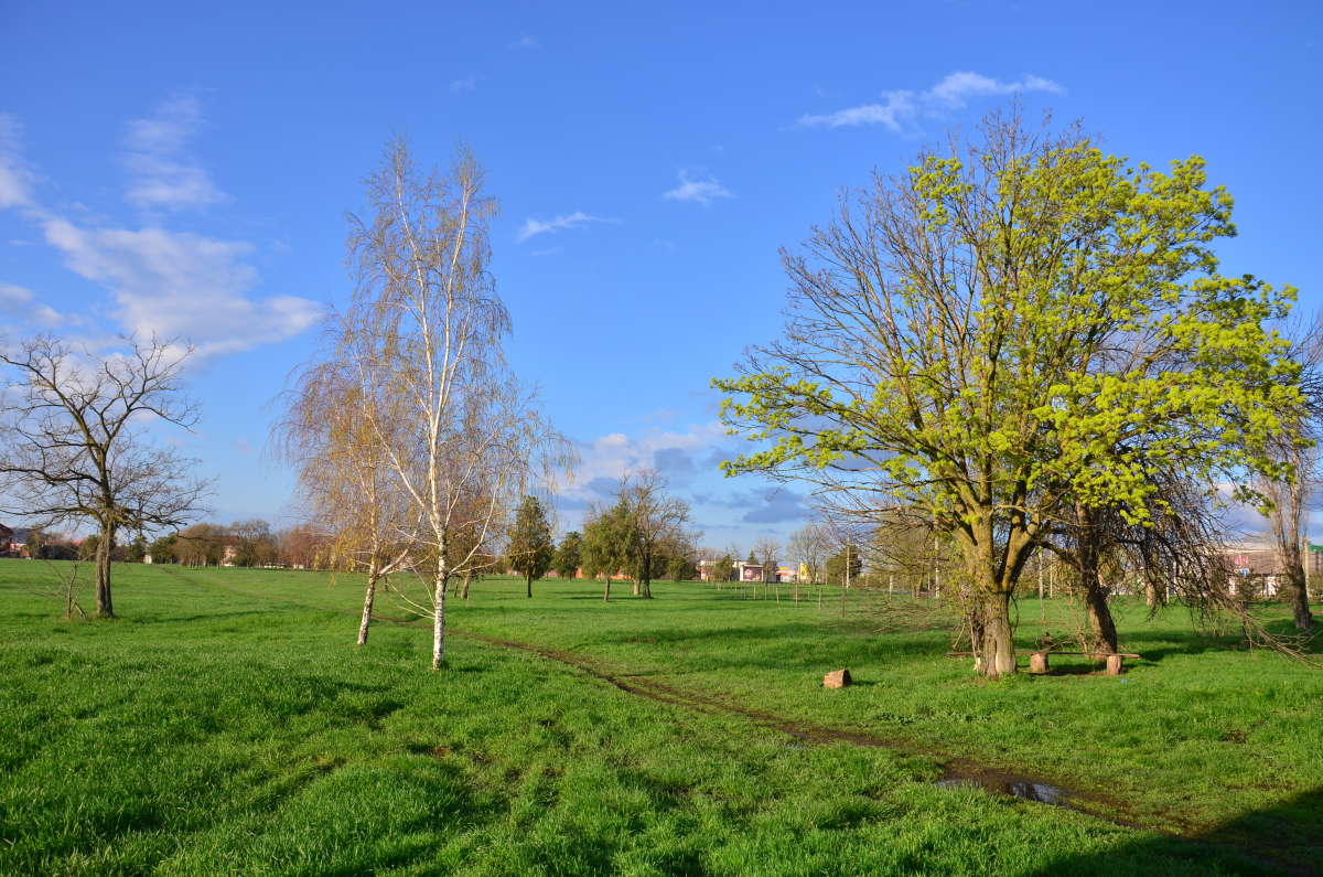 �������� ���������� ����� ����  �� PhotoGeek.ru #������ ��� ������� #����� �������������� #���������