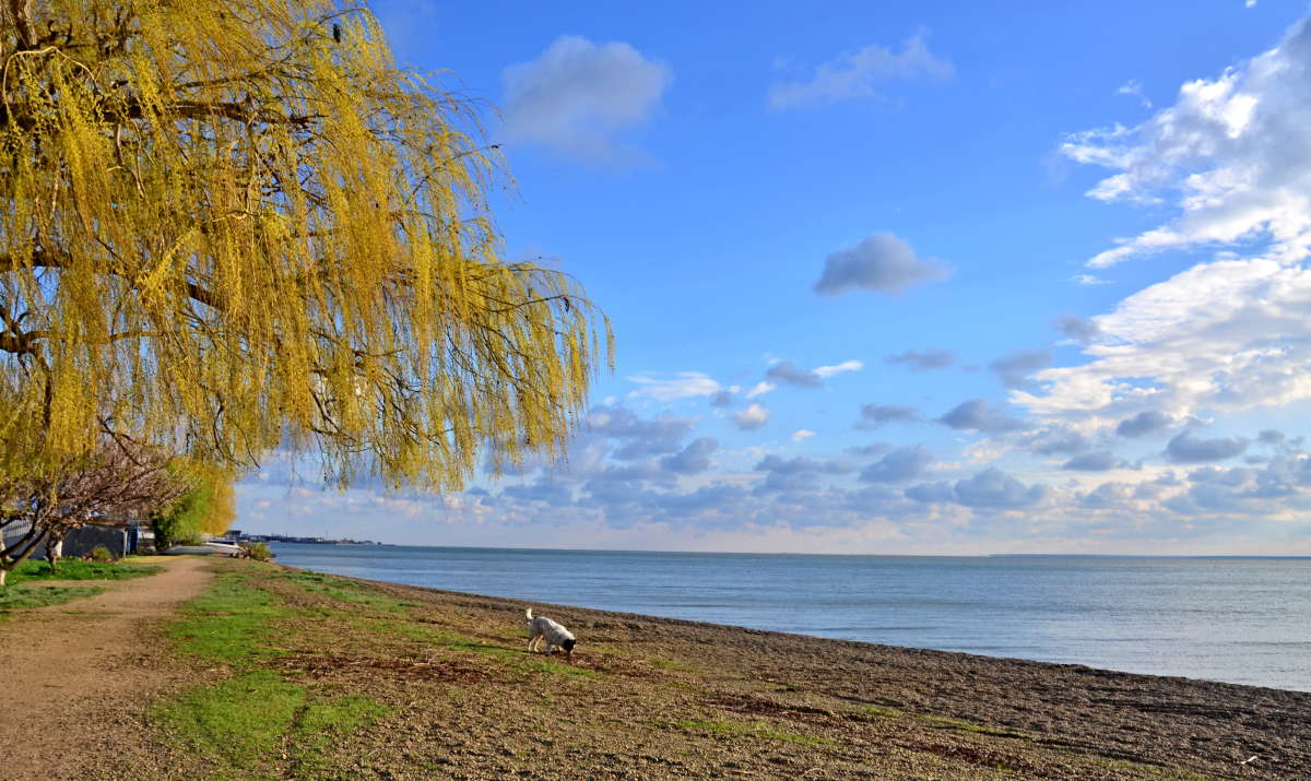 �� ������ ����� ����� ����  �� PhotoGeek.ru #������ ��� ������� #���������