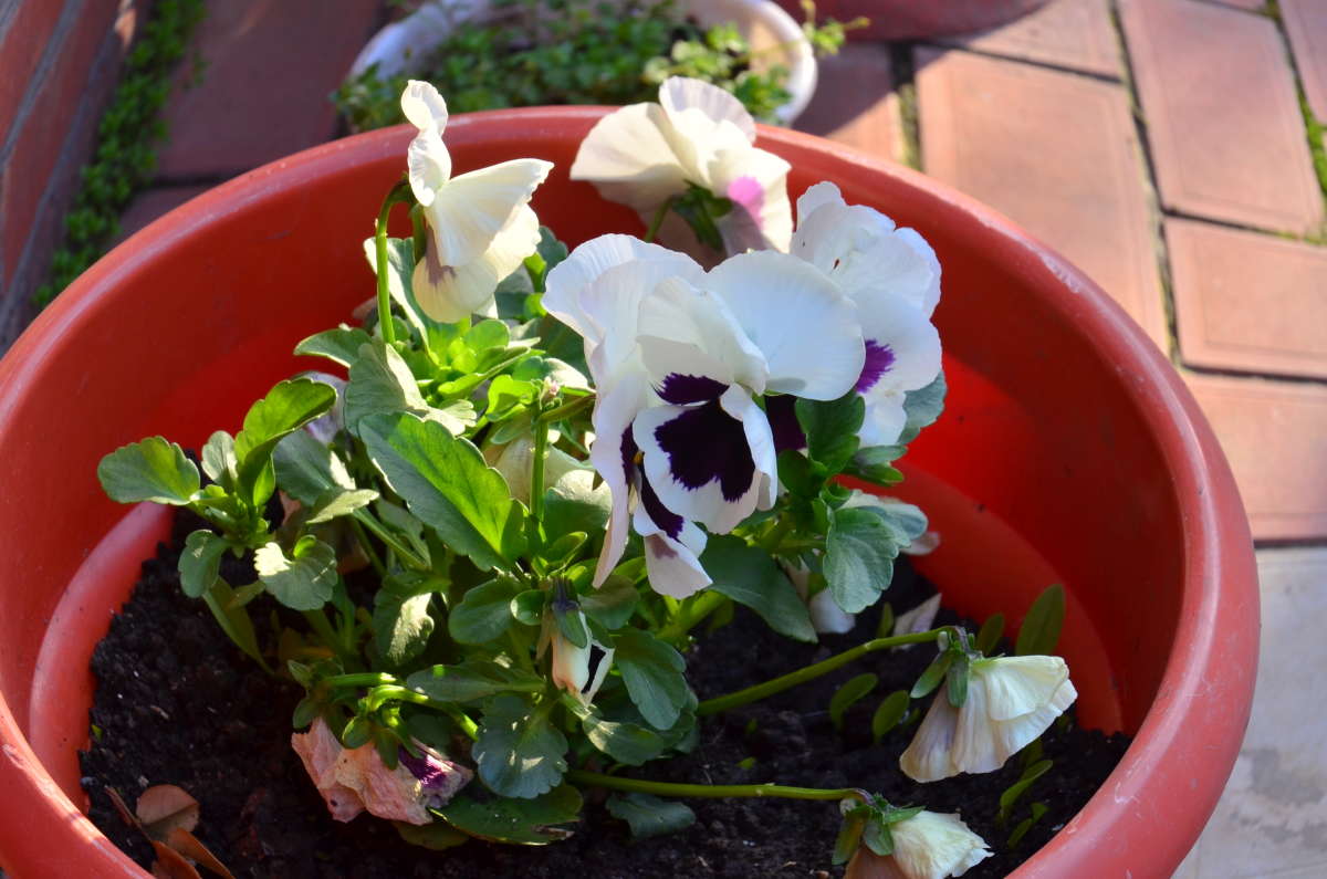 � ����� ������ ����� ����  �� PhotoGeek.ru #������ ��� ������� #����� �������������� #���������