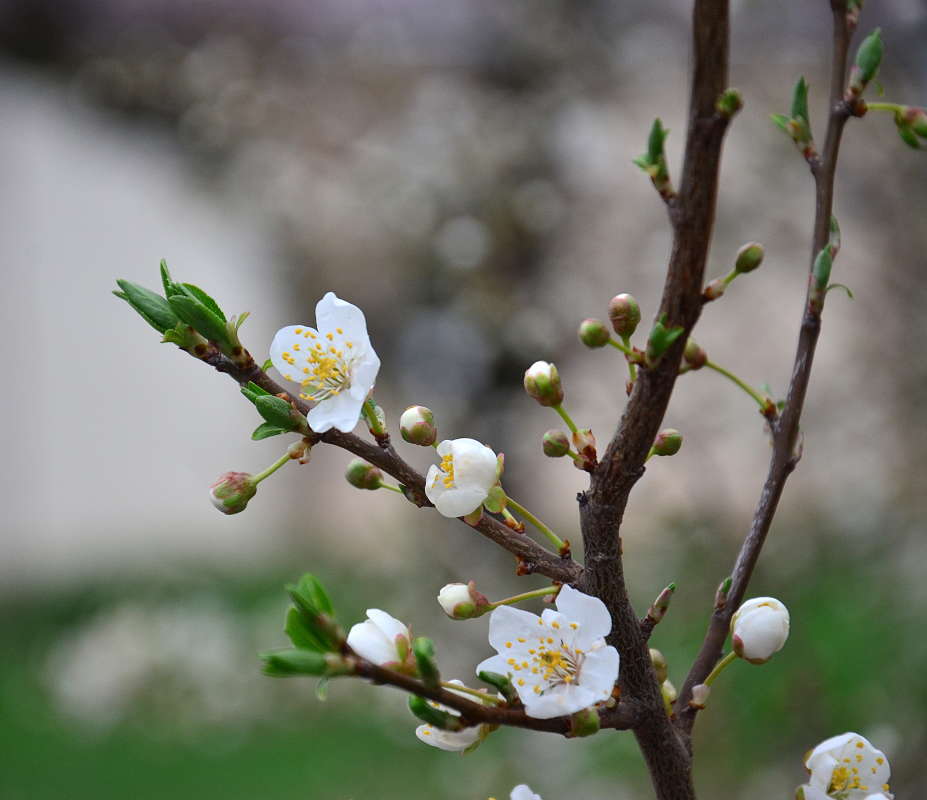 ����� ����� ����  �� PhotoGeek.ru #������ ��� ������� #����� �������������� #���������