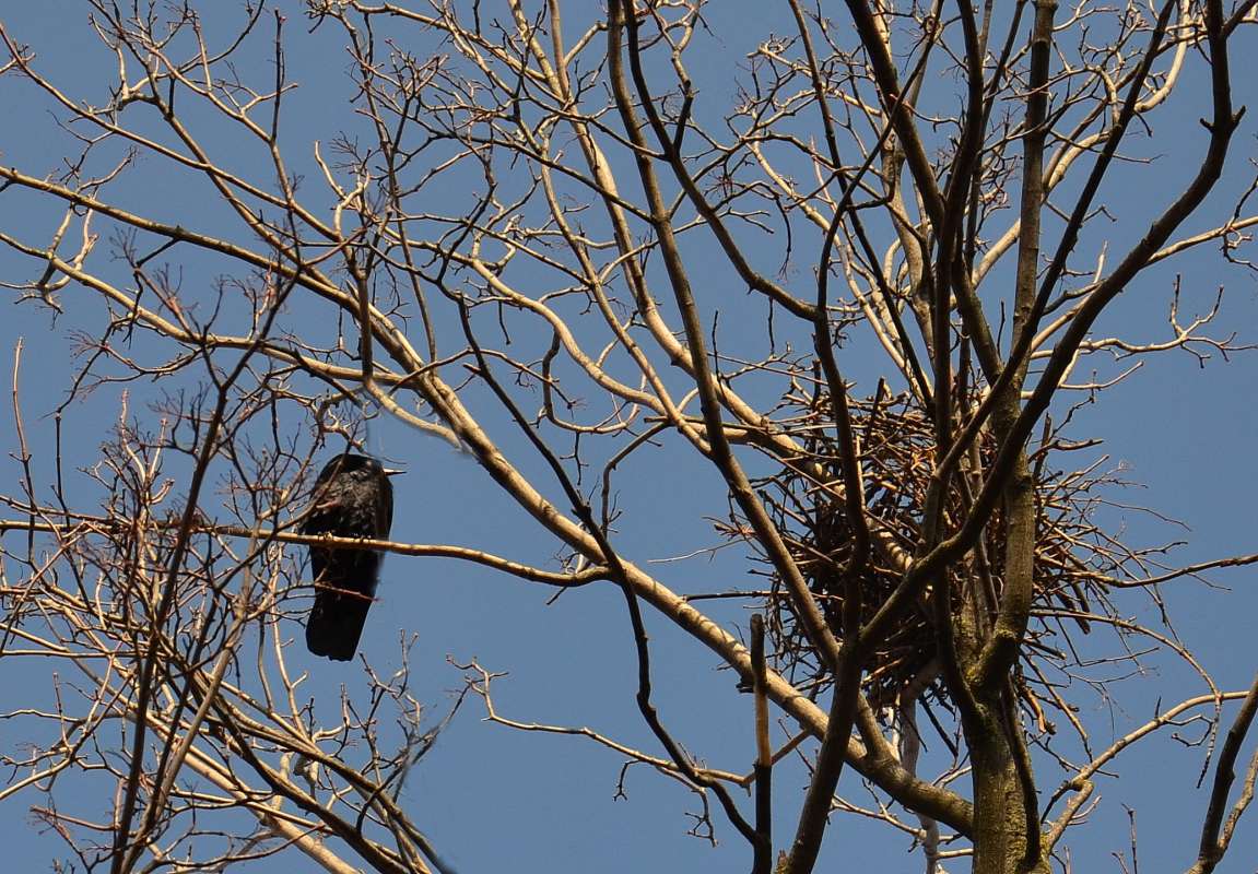 ����� ��������� ����� ����  �� PhotoGeek.ru #�������� ��� #����� ��� ��� ���������