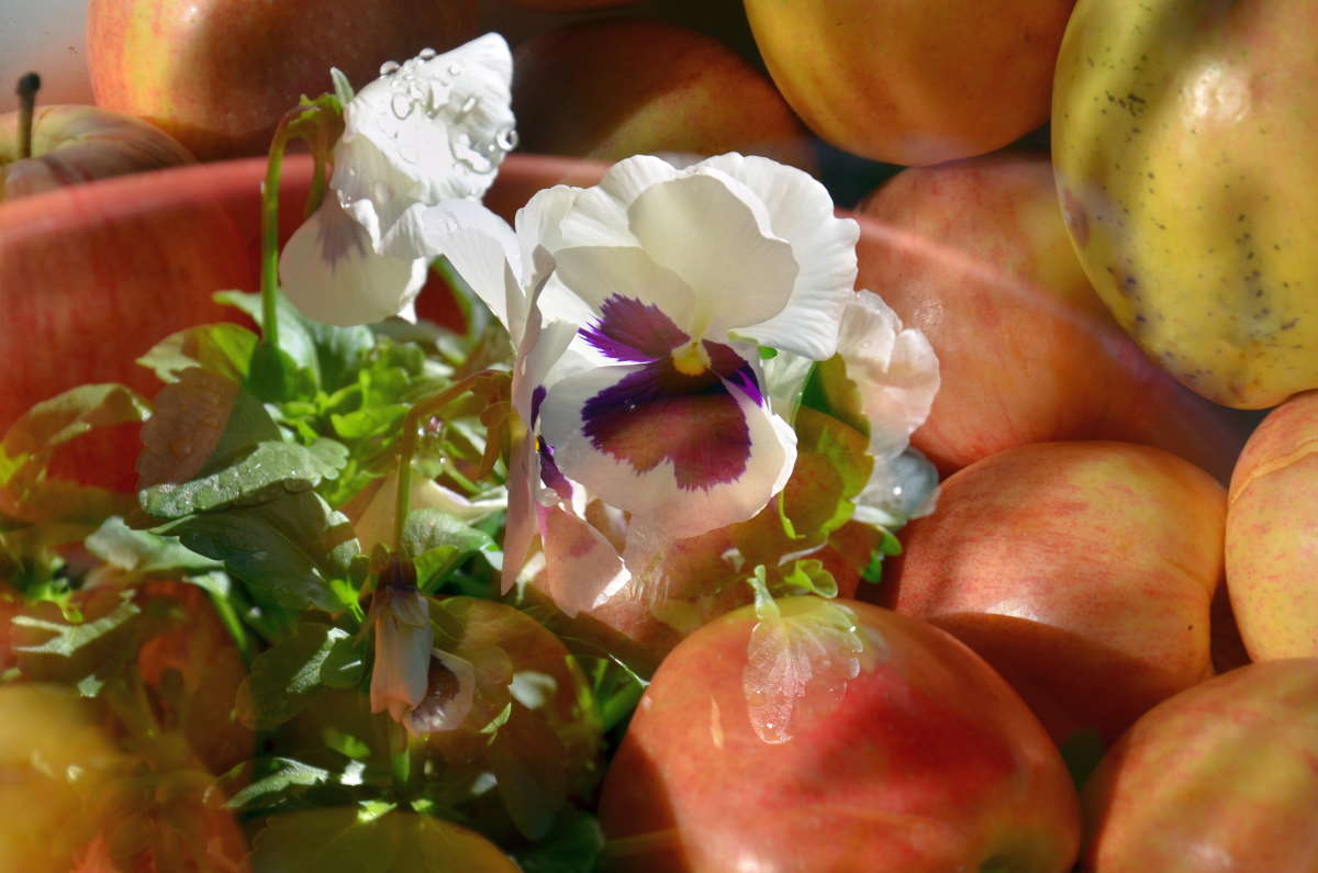 ������ ����� ����� ����  �� PhotoGeek.ru #�������� #Fine Art #������