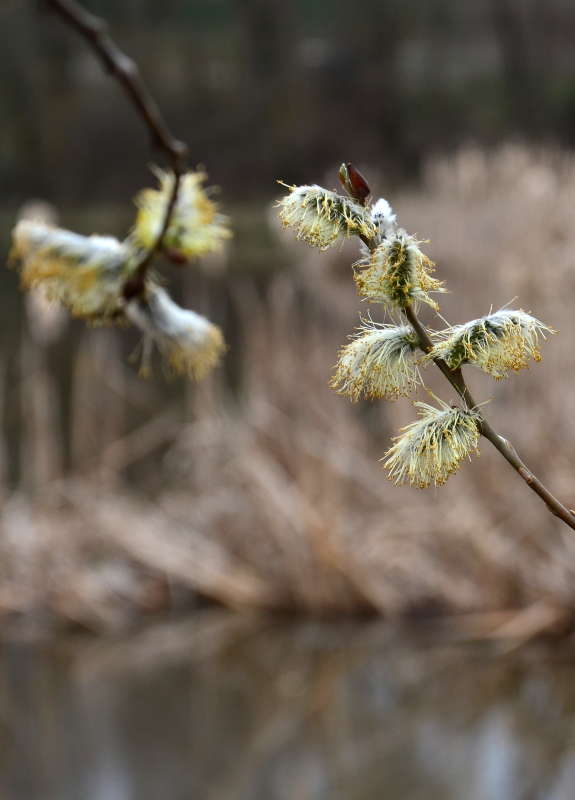 ... ����� ����  �� PhotoGeek.ru #������ ��� ������� #����� �������������� #���������