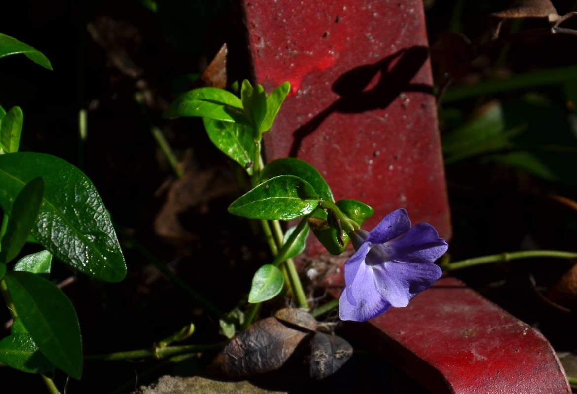 ����� � ������ ����� ����  �� PhotoGeek.ru #������ ��� ������� #����� �������������� #���������