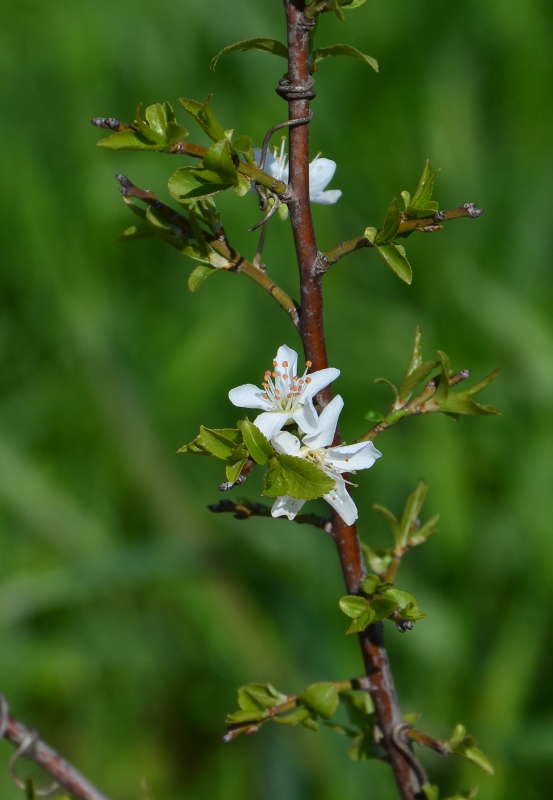 ����� ����� ����  �� PhotoGeek.ru #������ ��� ������� #����� �������������� #���������