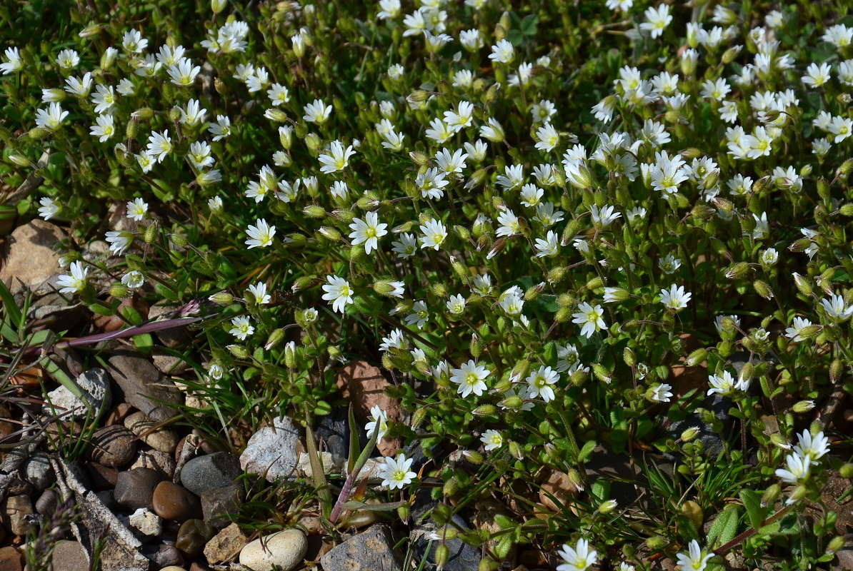 ������� ����������� ����� ����  �� PhotoGeek.ru #������ ��� ������� #����� �������������� #���������