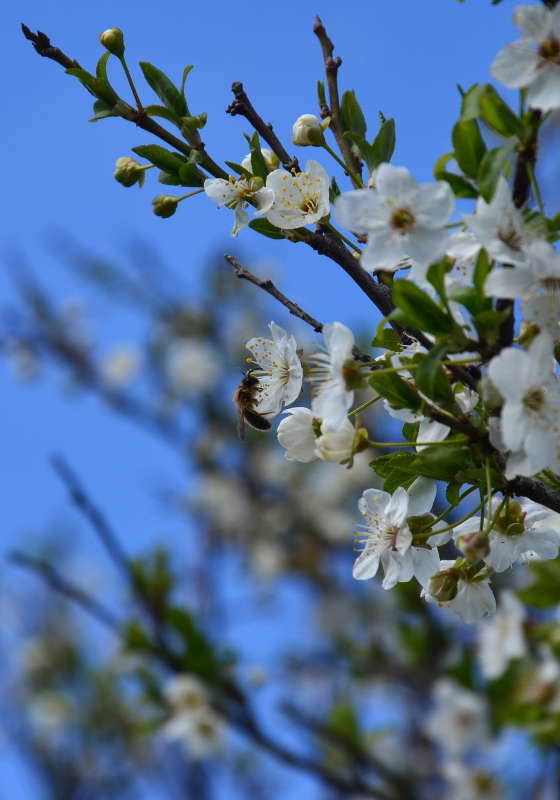 ����� � ������ ����� ����  �� PhotoGeek.ru #�������� ��� #������ ��� ������� #����� �������������� #��������� #���������