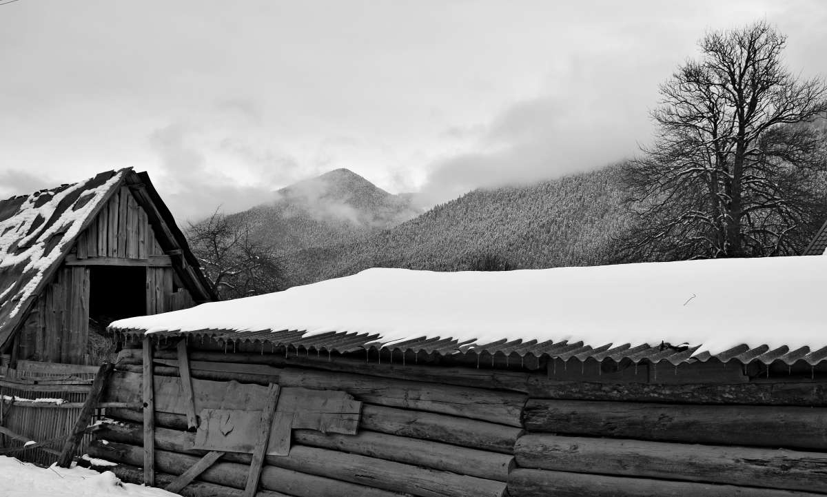 ����� � ����� ����� ����  �� PhotoGeek.ru #�� #Fine Art