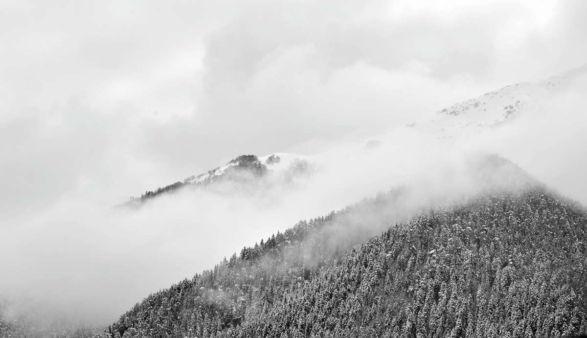 ���������� ����� ����  �� PhotoGeek.ru #�� #������ ��� �������