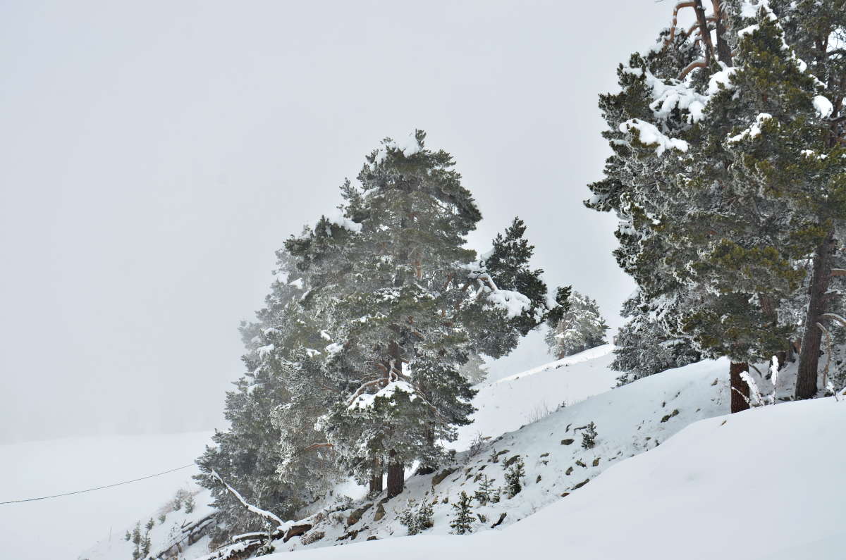 ��� ������� ���������� ����� ����  �� PhotoGeek.ru #������ ��� ������� #���������