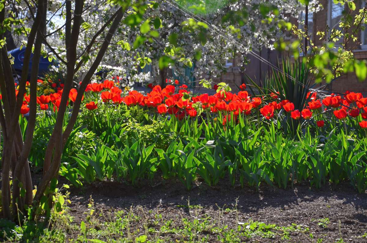 ����� � ����� ������ ����� ����  �� PhotoGeek.ru #����� #������ ��� ������� #����� �������������� #���������