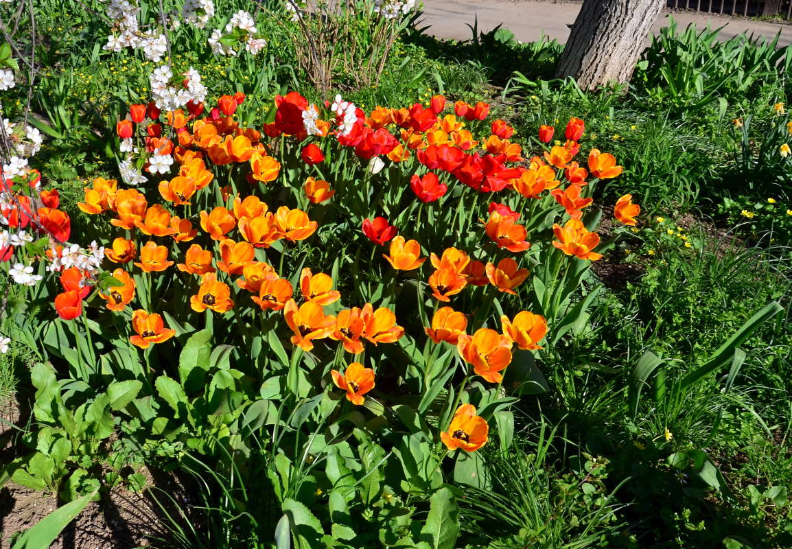 ����� � ����� ������ ����� ����  �� PhotoGeek.ru #����� #������ ��� ������� #����� �������������� #���������