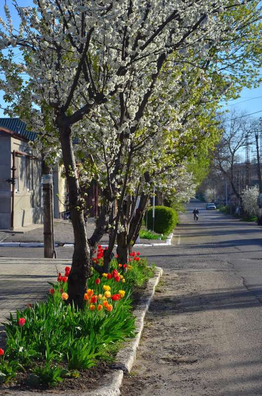 ����� � ����� ������ ����� ����  �� PhotoGeek.ru #����� #������ ��� ������� #��������� ������ #����� �������������� #���������