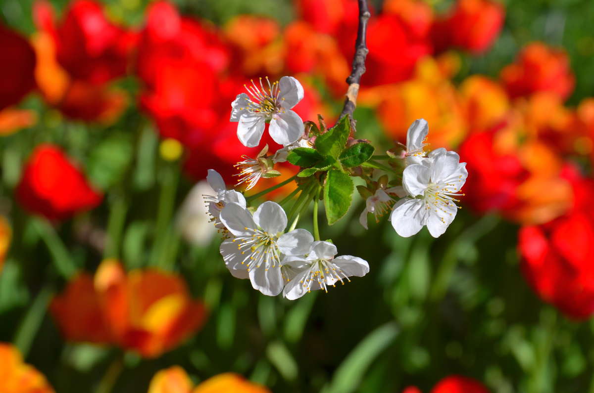 ����� � ����� ������ ����� ����  �� PhotoGeek.ru #����� #������ ��� ������� #����� �������������� #���������