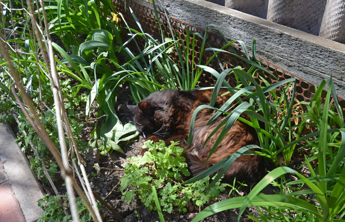 ��������� ��� ����� ����  �� PhotoGeek.ru #�������� ��� #�������� ���