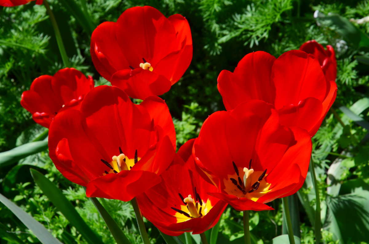 ����� ����� ����� ����  �� PhotoGeek.ru #������ ��� ������� #����� �������������� #���������