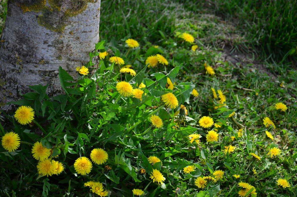 ���� ����������� ����� ����  �� PhotoGeek.ru #������ ��� ������� #����� �������������� #���������