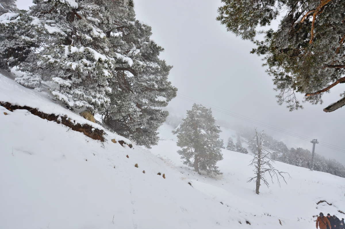 � ����� ������� ����� ����  �� PhotoGeek.ru #������ ��� ������� #���������