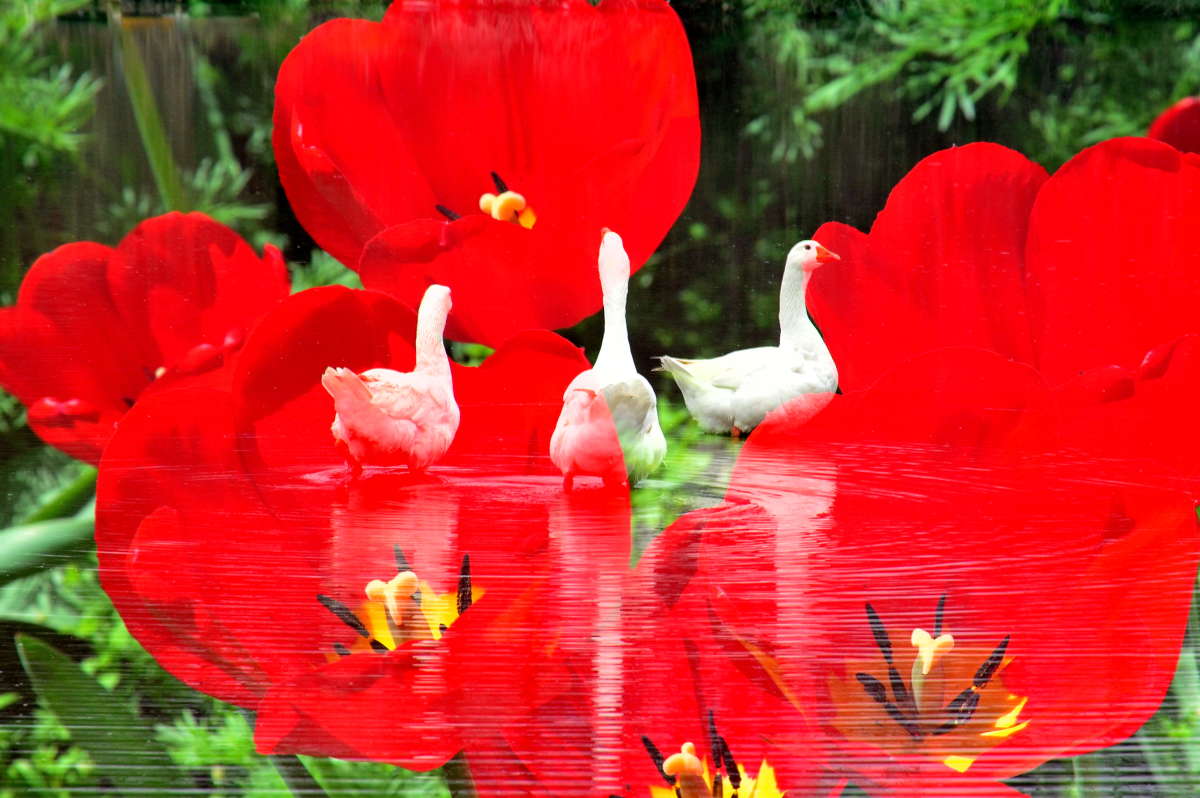 � ��������� ��� ����� ����  �� PhotoGeek.ru #�������� #Fine Art