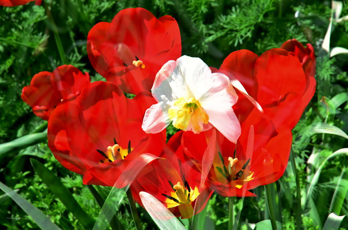 ����� ����� ����� ����  �� PhotoGeek.ru #������ #����� �������������� #���������