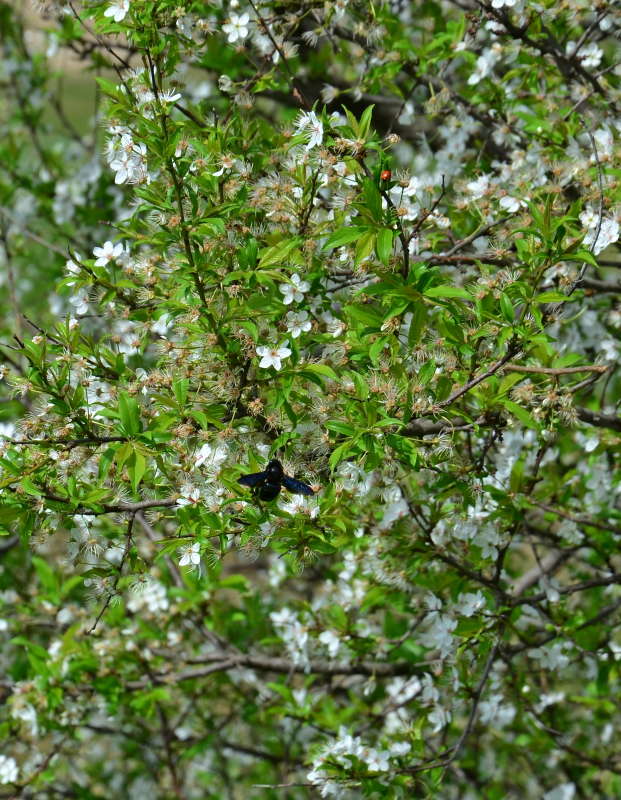 ... ����� ����  �� PhotoGeek.ru #������ ��� ������� #����� �������������� #���������