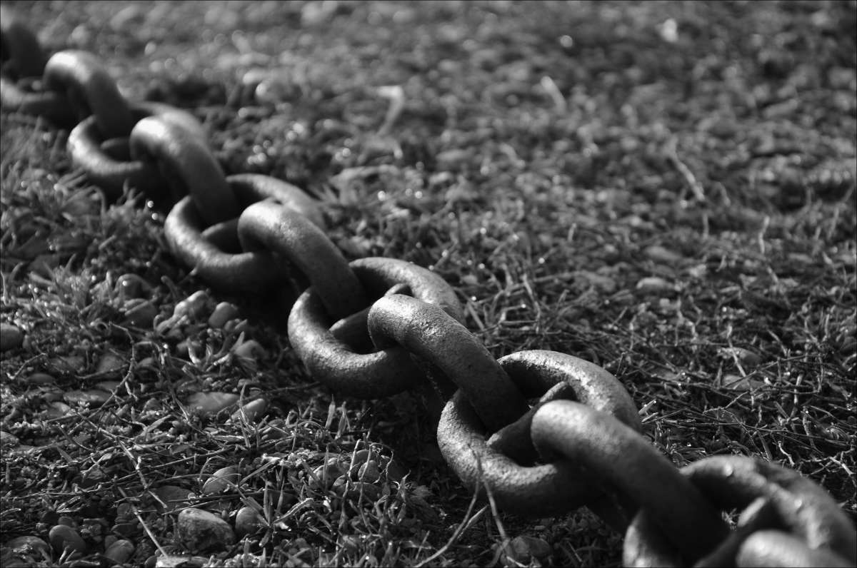 ������ ����� ���� ����� ����  �� PhotoGeek.ru #�� #�������� #Fine Art #���������