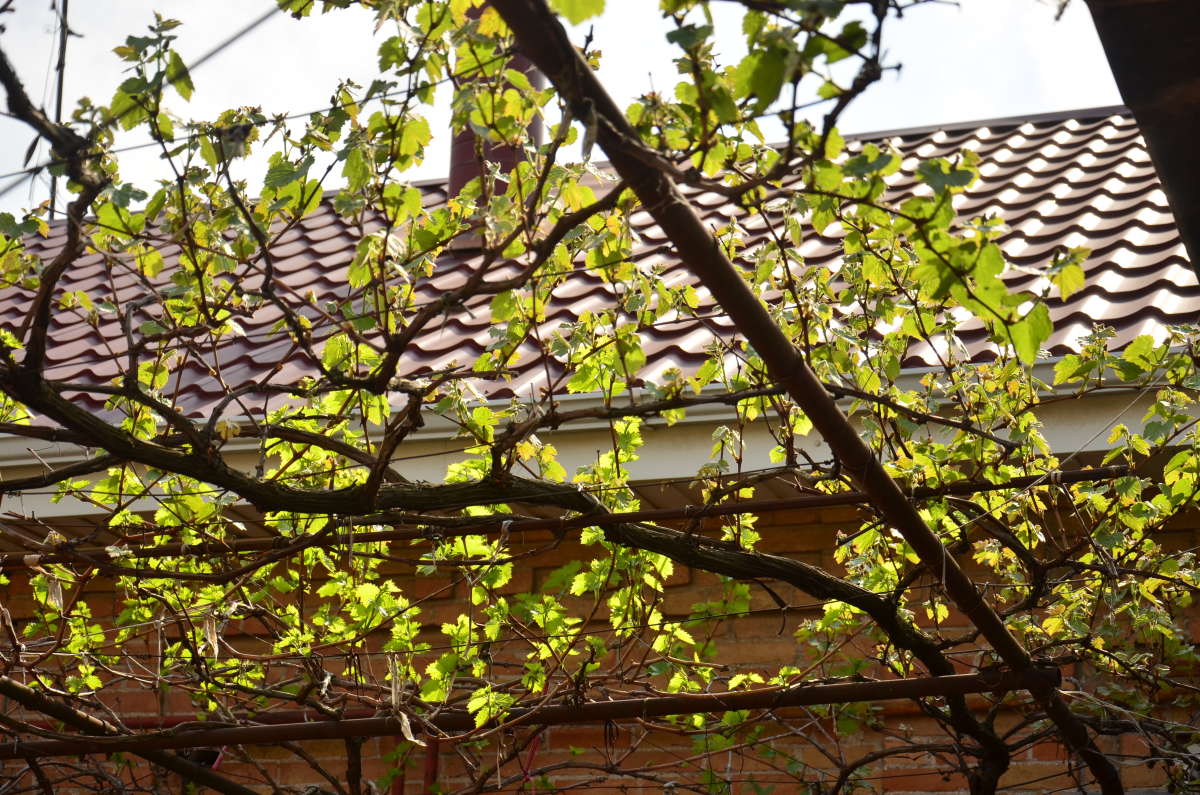 ���� ����� ����� ����  �� PhotoGeek.ru #������ ��� ������� #����� �������������� #���������