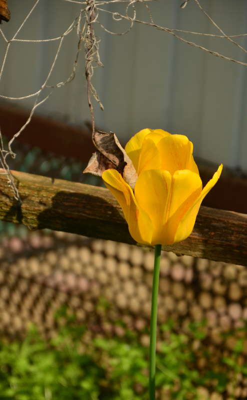 ���� ����� ����  �� PhotoGeek.ru #������ ��� ������� #����� �������������� #���������