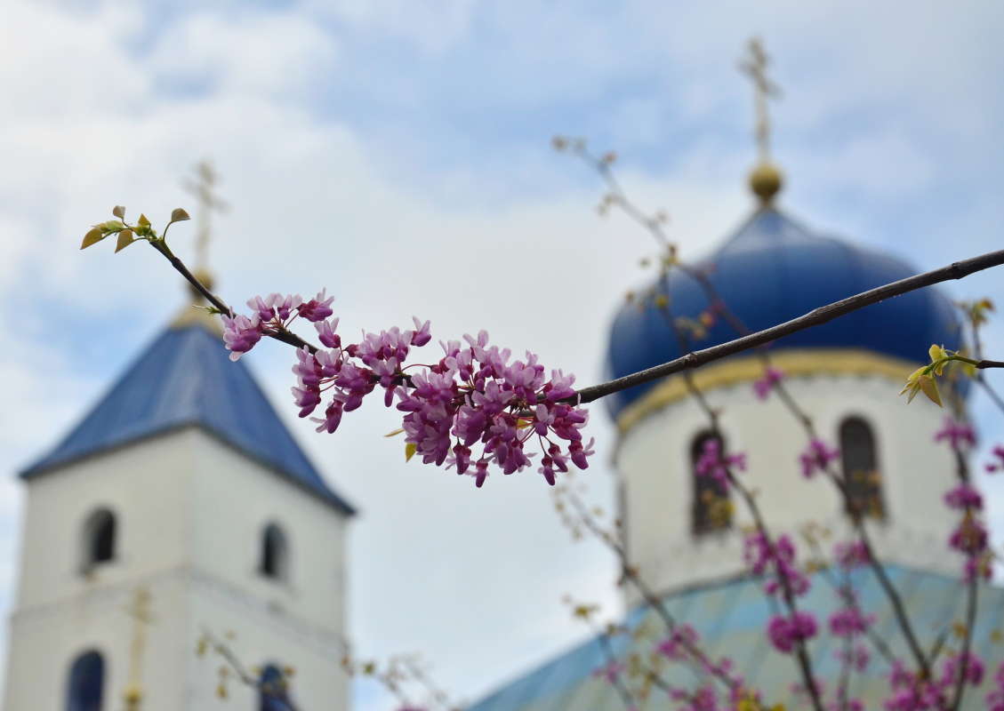 ������� ������� ����� ����  �� PhotoGeek.ru #������� #����� #��������