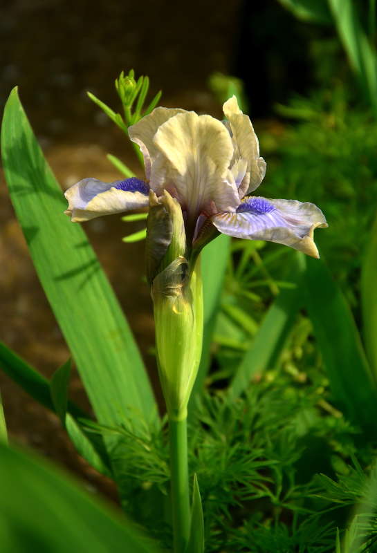 ������� � ������ ����� ����  �� PhotoGeek.ru #������ ��� ������� #����� �������������� #���������