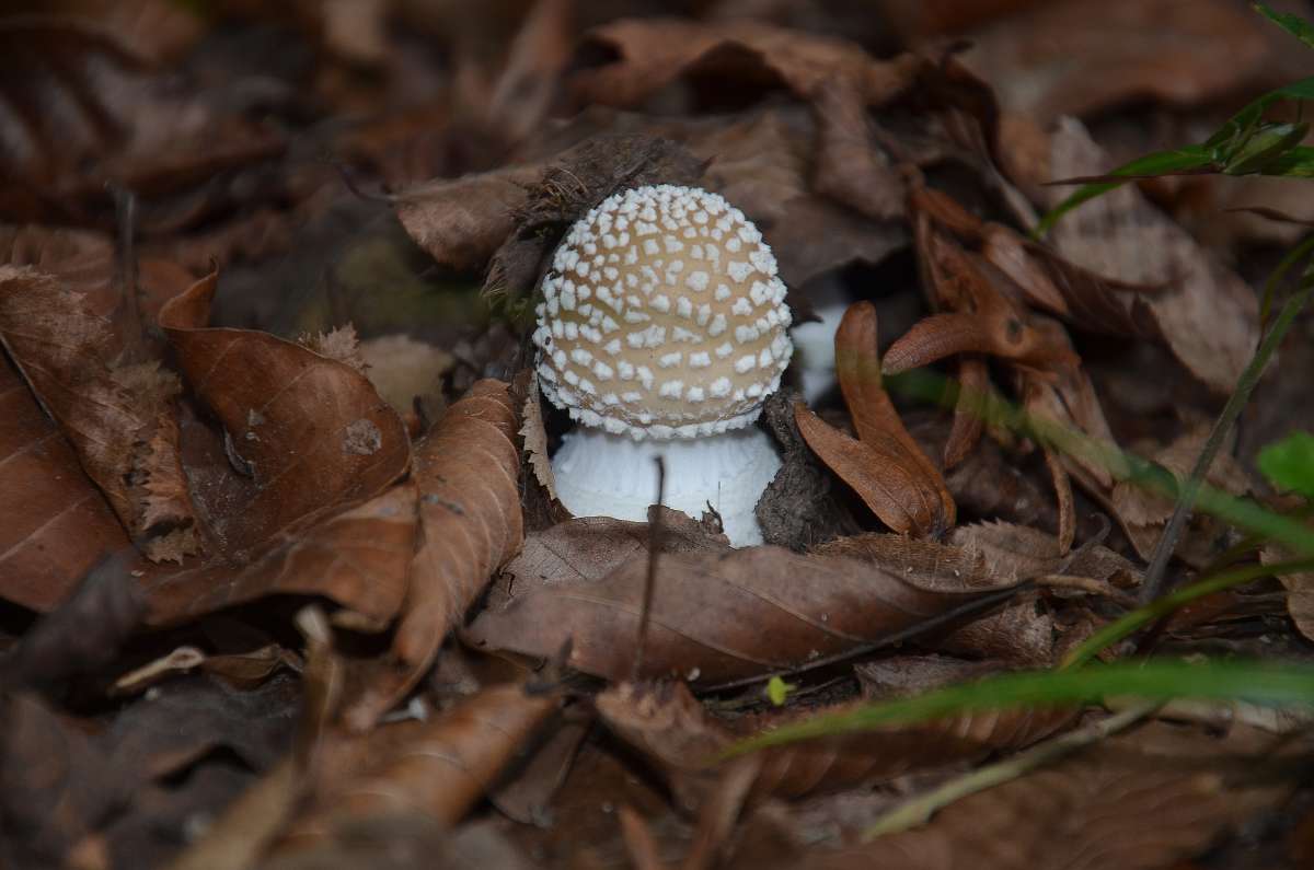 ... ����� ����  �� PhotoGeek.ru #������ ��� ������� #���������