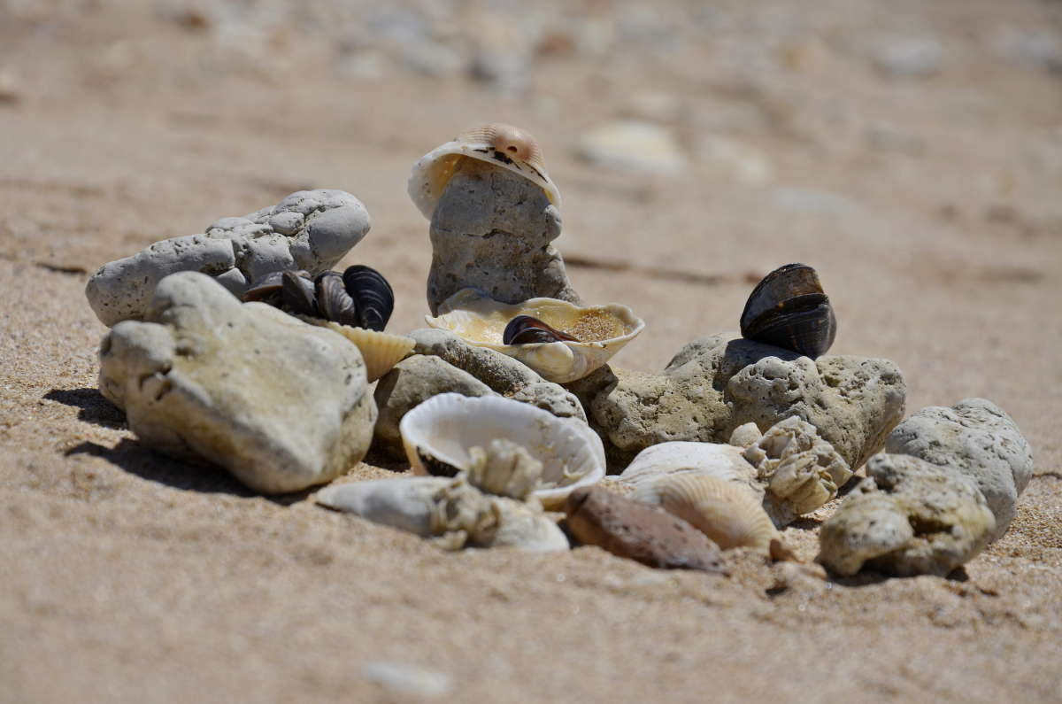 ��������� ��������� ����� ����  �� PhotoGeek.ru #Fine Art #����� #���������