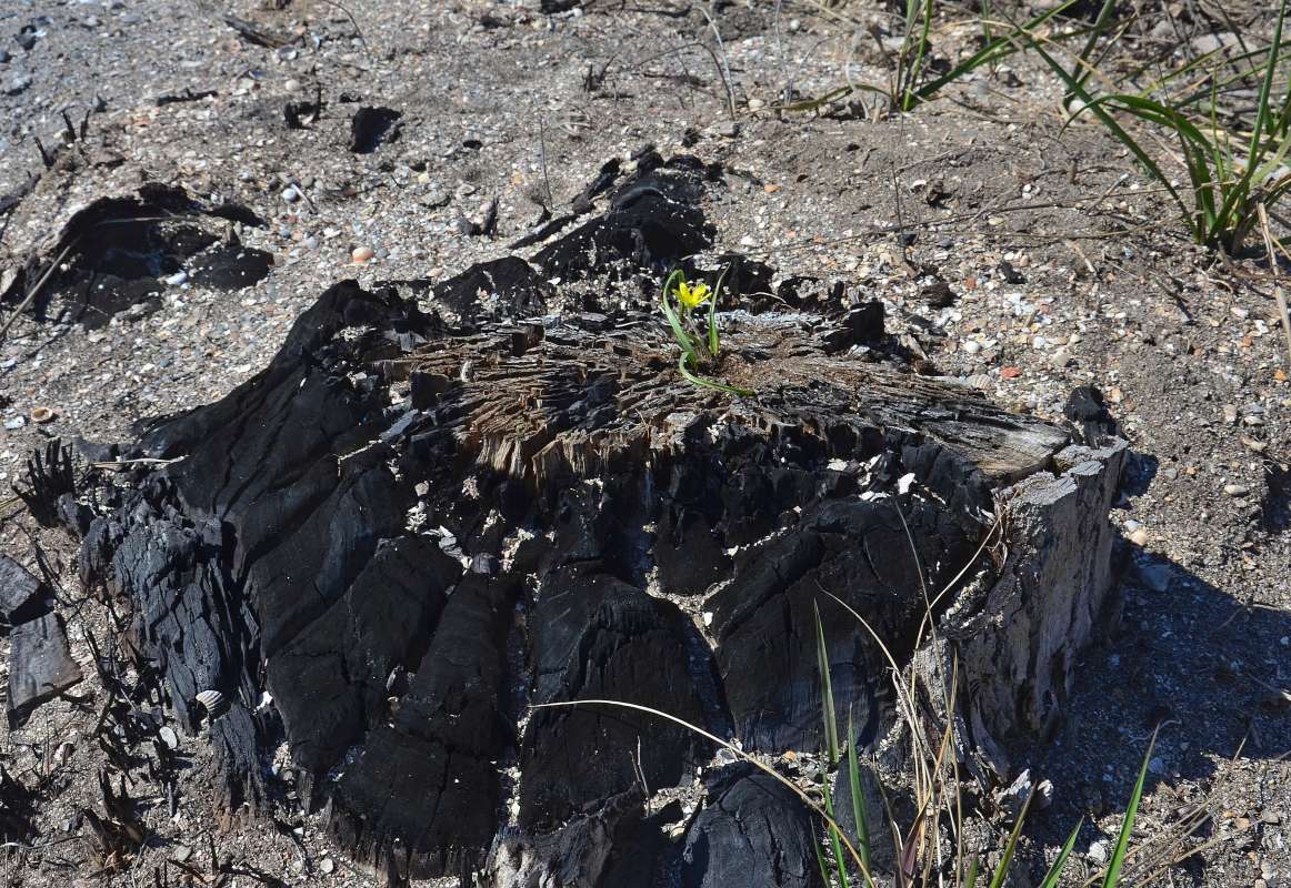 ����� ����� ������ ����� ����  �� PhotoGeek.ru #������ ��� ������� #���������