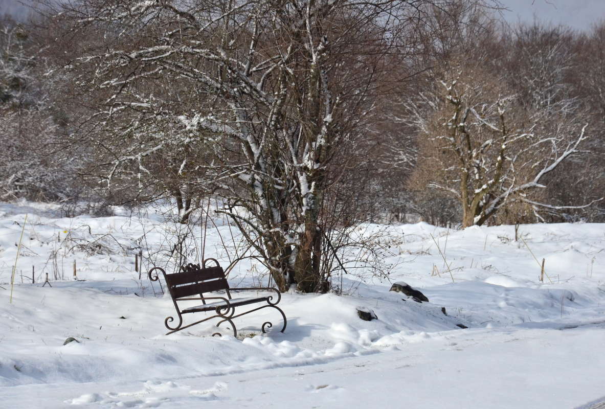 ���� ����� ����  �� PhotoGeek.ru #������ ��� ������� #�������� ����������