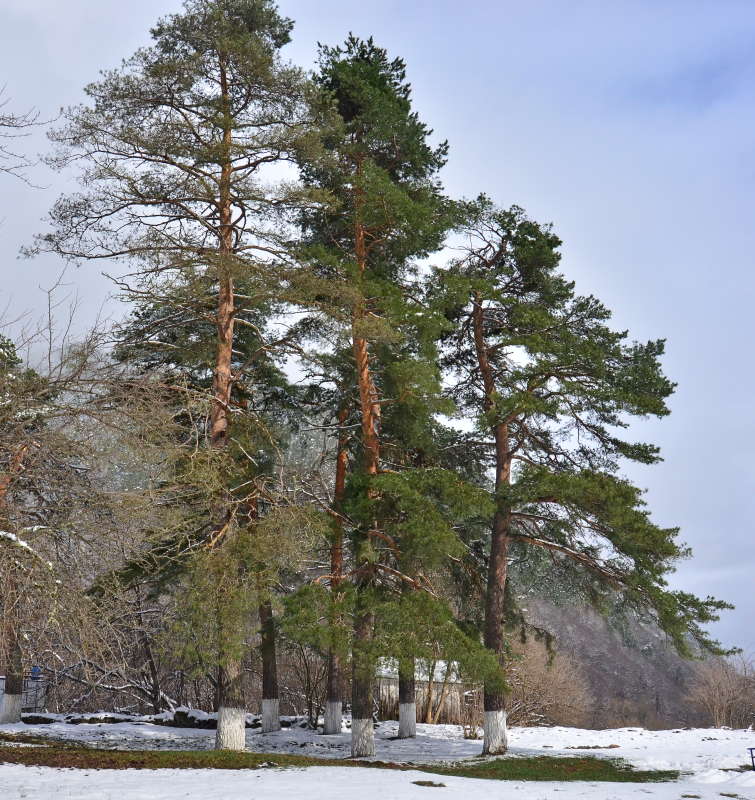 ����� ����� ����  �� PhotoGeek.ru #������ ��� ������� #����� �������������� #���������