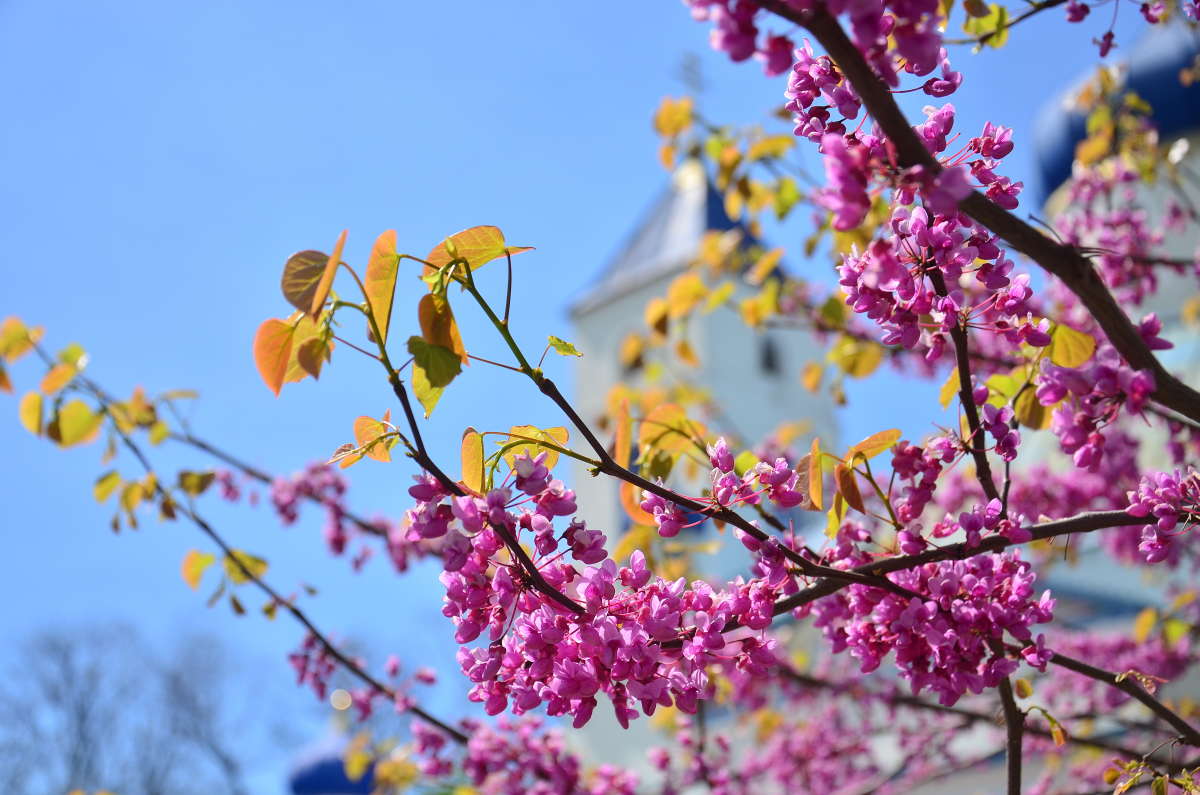 ��������� ��� ����� ����  �� PhotoGeek.ru #������ ��� ������� #����� �������������� #���������