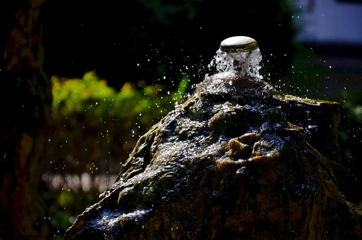 ��������� ����� ����  �� PhotoGeek.ru #�������� #Fine Art #�����