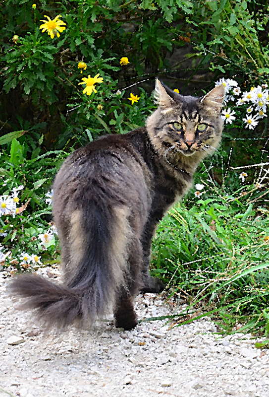 ������� ������ "���" ����� ����  �� PhotoGeek.ru #�������� #Fine Art #������