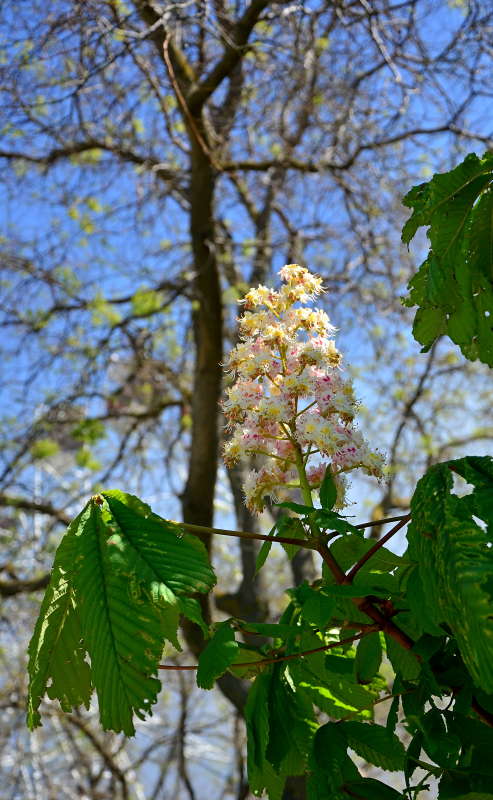 ������ ������� ����� ����  �� PhotoGeek.ru #������ ��� ������� #����� �������������� #���������