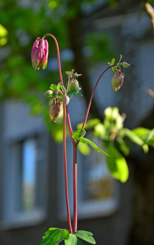 ... ����� ����  �� PhotoGeek.ru #������ ��� ������� #����� �������������� #���������